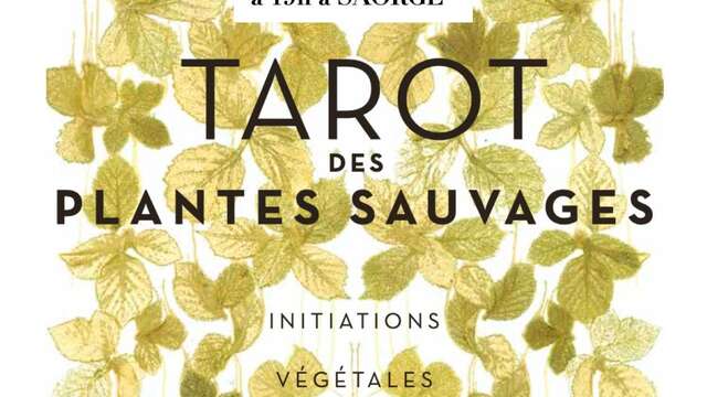 Tarot des plantes sauvages