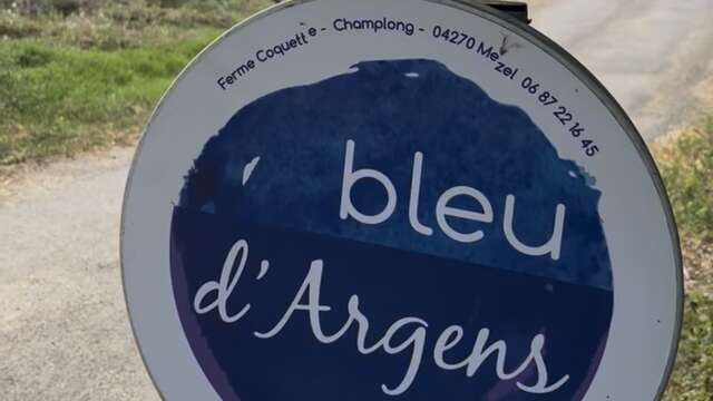 Bleu d'Argens - Distillateur de bonheur