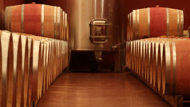 Bodega de vinedo Brulhois