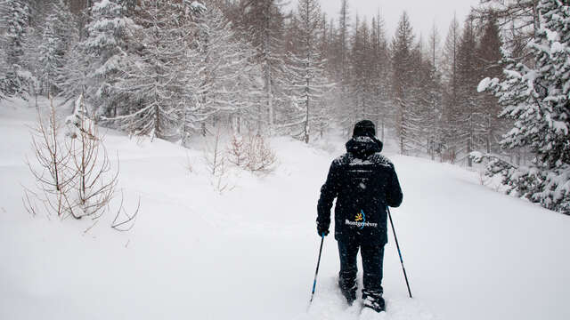 Initiation à la Marche Nordique