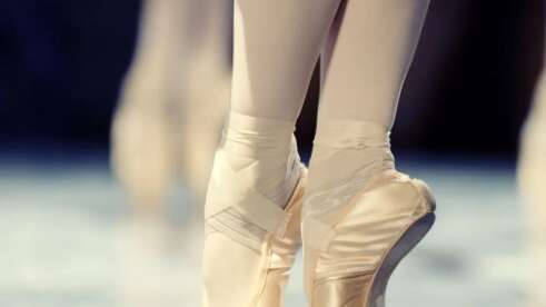 Spectacle : "Entrez dans la danse"