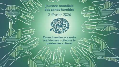 Journée mondiale des zones humides