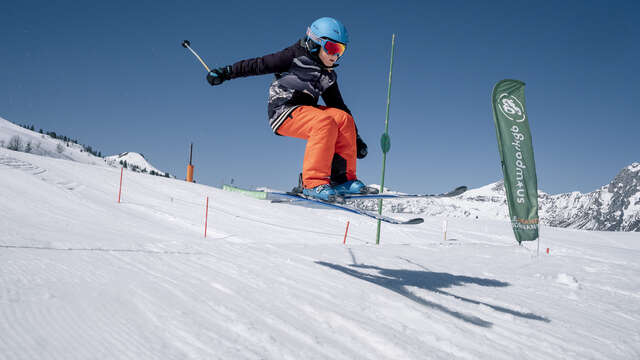 The Mom'Park super wheel