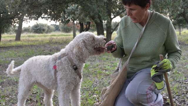 Week end découverte de la truffe