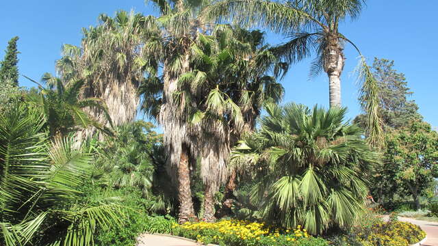 Parc Olbius Riquier