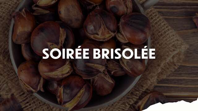 Soirée Brisolée - Le Perroquet