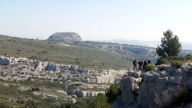 Initiation au croquis en plein air : capturer l'atmosphère des collines de Pagnol - 1/2 journée