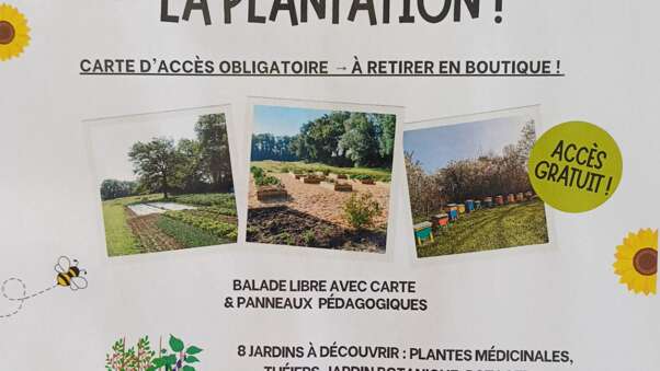 Visitez la plantation !