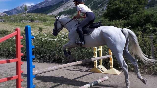 Cours d'équitation