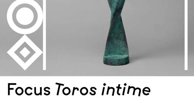 Exposition : Focus Toros intime - Musée de Valence