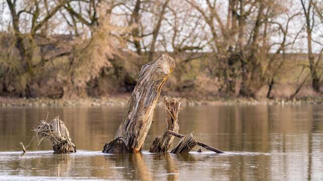 Notre fleuve Loire en héritage - Conférence UPT