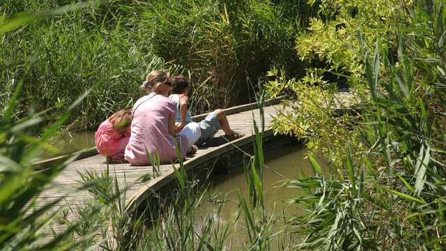 Discovery trail "des Cabanes" of the Marais du Vigueirat