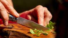 Journée immersion végétale