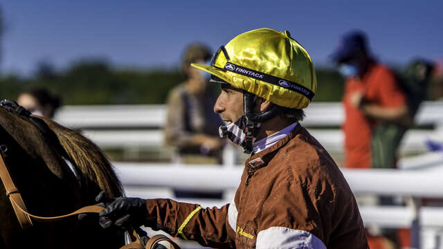 Courses à l'hippodrome