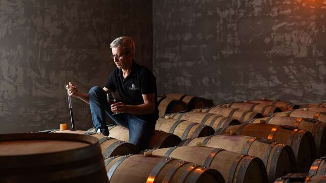 Visite guidée de la Cuverie, du chai, dégustation sur cuve et plateau apéritif