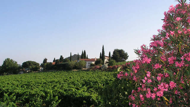 Château du Carrubier