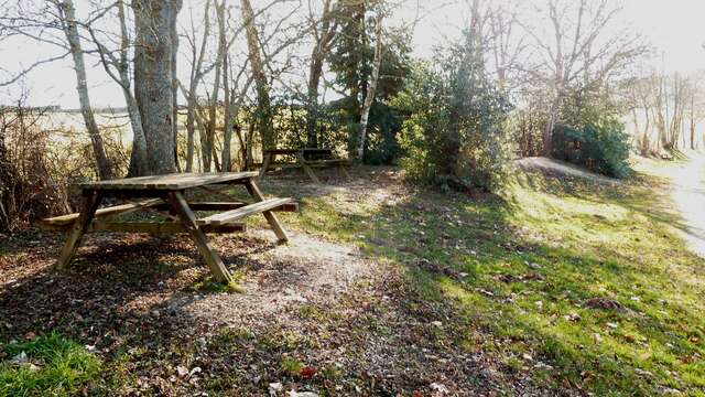Aire de pique-nique du plan d'eau