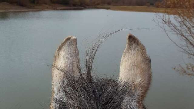 Le ranch du lac de Saint-Cassien