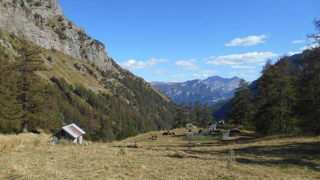 Les Cabanes du Vallon du Couleau