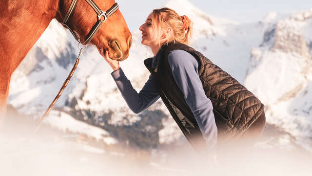Equine mediation