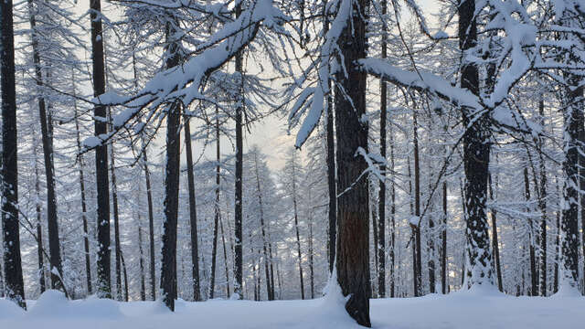 Dromzeé Anne-Claire - Accompagnatrice en montagne / Conteuse
