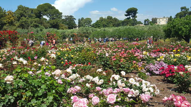 Villa et Jardin EILENROC