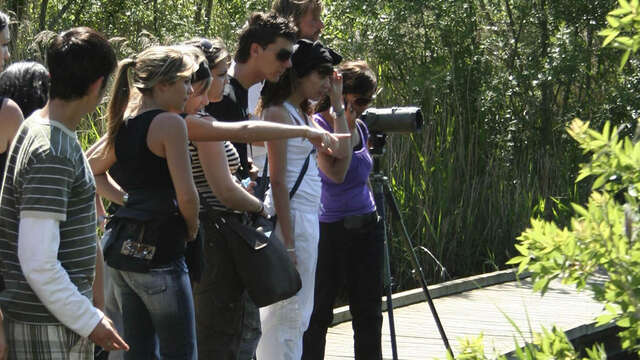 Discovery trail of "la Palunette" at the Marais du Vigueirat