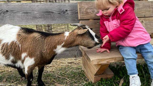 Ferme : Au bonheur des animaux