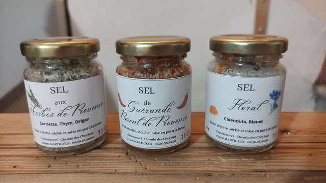 Farm l'intemporel - Jardin des Cheylans