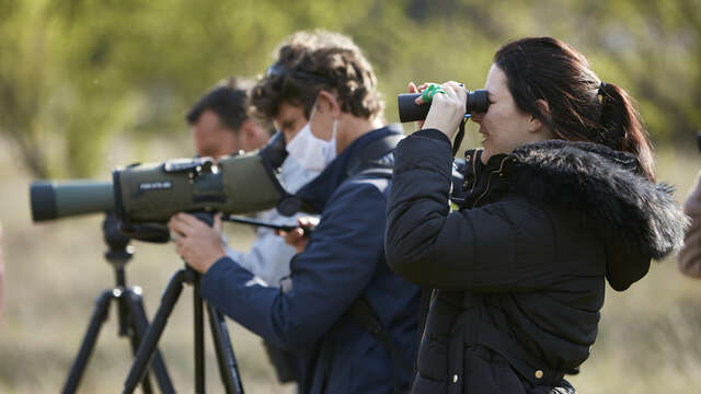 Observation des Oiseaux des Alpes au Col Bas