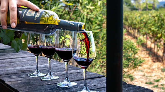 Expérience œnophile au Domaine de Peirecèdes