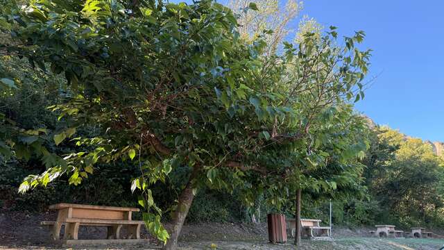 Aire de pique-nique des Pénitents aux Mées