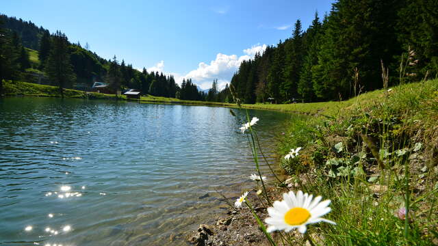 Plan Dessert Lake