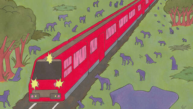 Festival cinéma - Regards Satellites