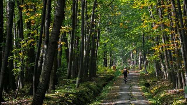 Itinéraire vtt : Le balcon n°7 Nero