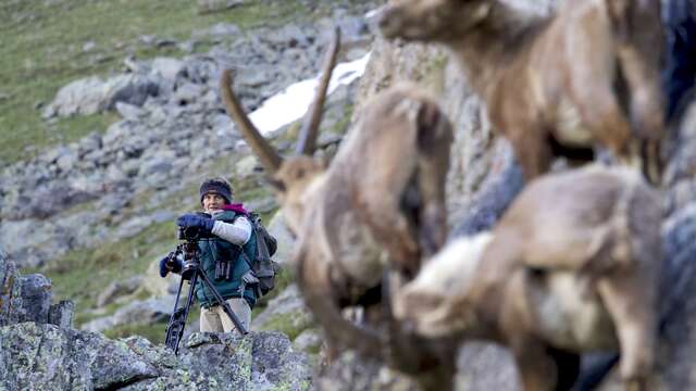 Masterclass "Cinéaste animalier de montagne"