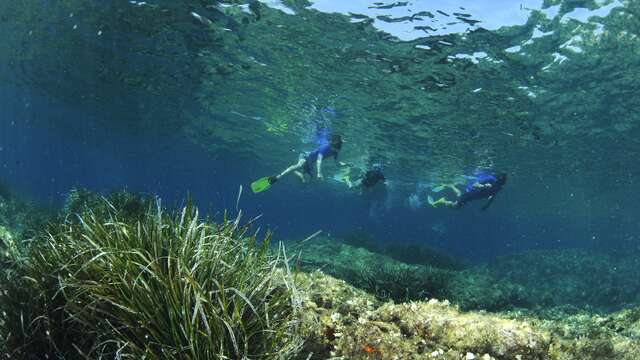 Randonnée palmée dans "Le Jardin des Mattes"