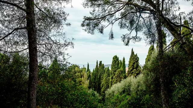 Association Pour La Sauvegarde Des Jardins D'Exception