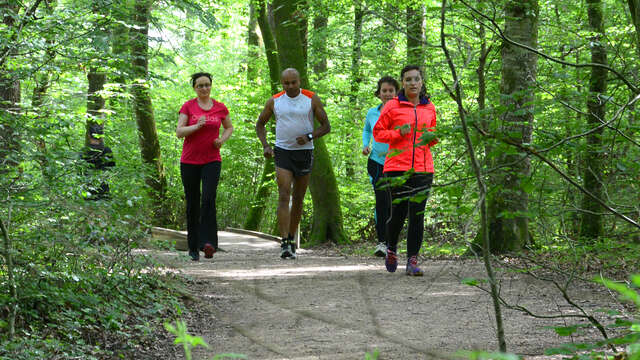 Parcours sportif de Seillon