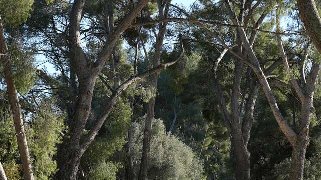 "Sur les rails de l'histoire" - Promenade des Annamites