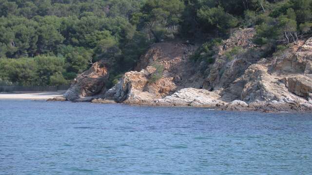 Sentier sous-marin : Le Jardin des Mattes