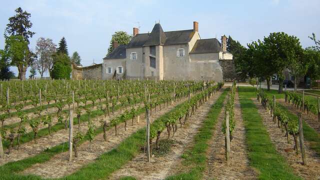 Domaine de Pied Flond