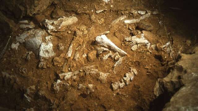 Die Vallonnet-Höhle in Roquebrune-Cap-Martin