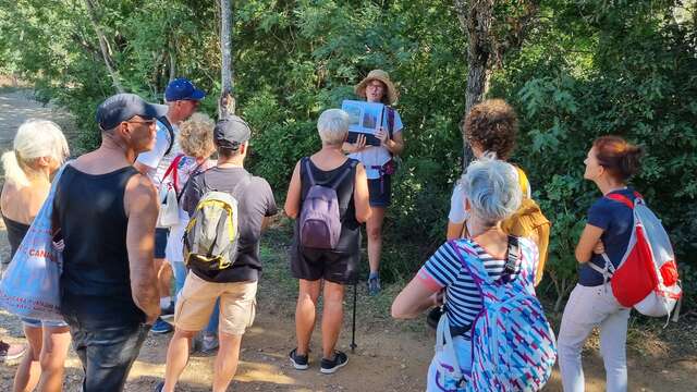 Balade nature à Porquerolles - Faune et flore d'ici... et d'ailleurs