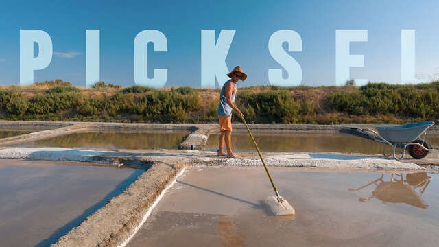 Découverte et visite autonome d'un marais salant par PickSel