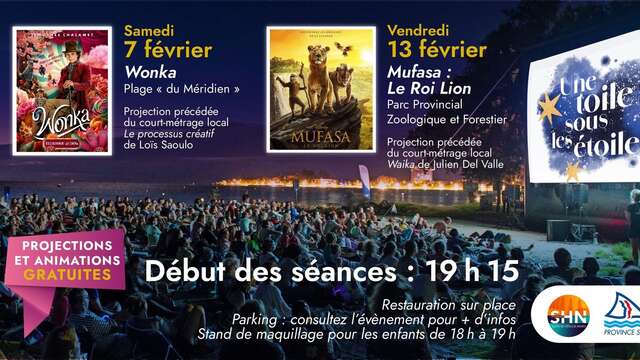 星空のスクリーン – ムファサ：ライオンキング（森の公園） (Hoshizora no Sukurīn – Mufasa: Raion Kingu (Mori no Kōen))