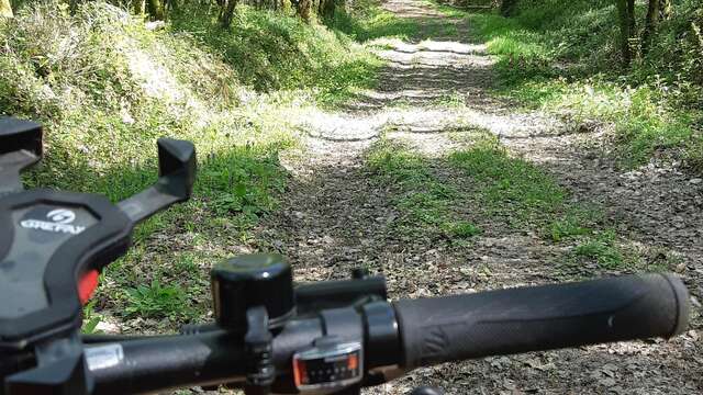 MTB track no. 16 (green) Plaine de Ceyzeriat - Bois de Teyssonge
