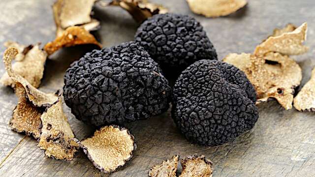 Visite de la Passion - truffes et OR ROUGE