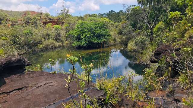 Lovers' Waterhole