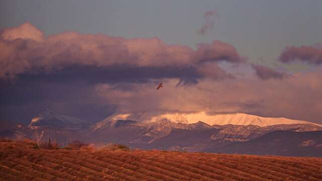 Les Expos du Château - le mois de la photo : novembre